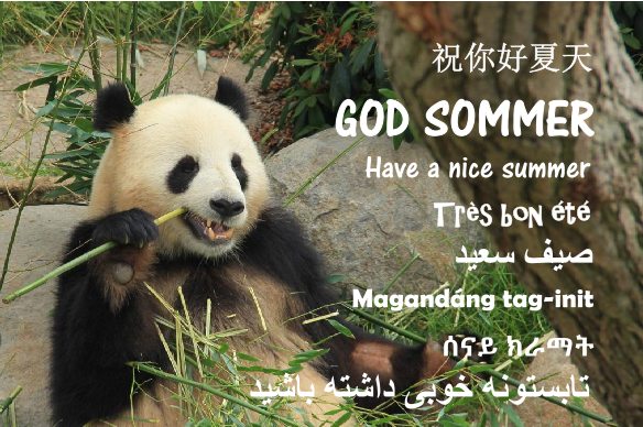 Sommerkort panda juli2019