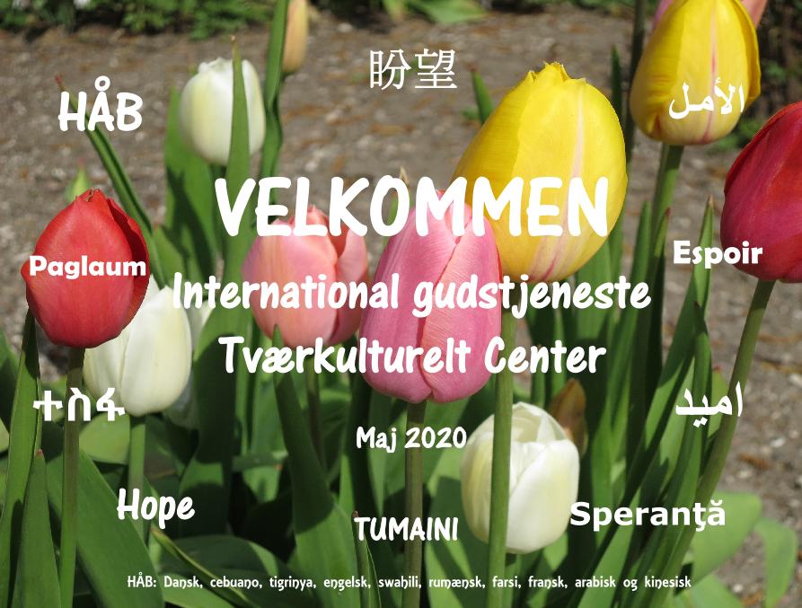 Plakat tulipaner gudstj